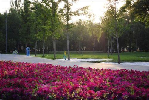 兰州植物园爆料案件最新,真相渐浮水面，疑云终将揭晓